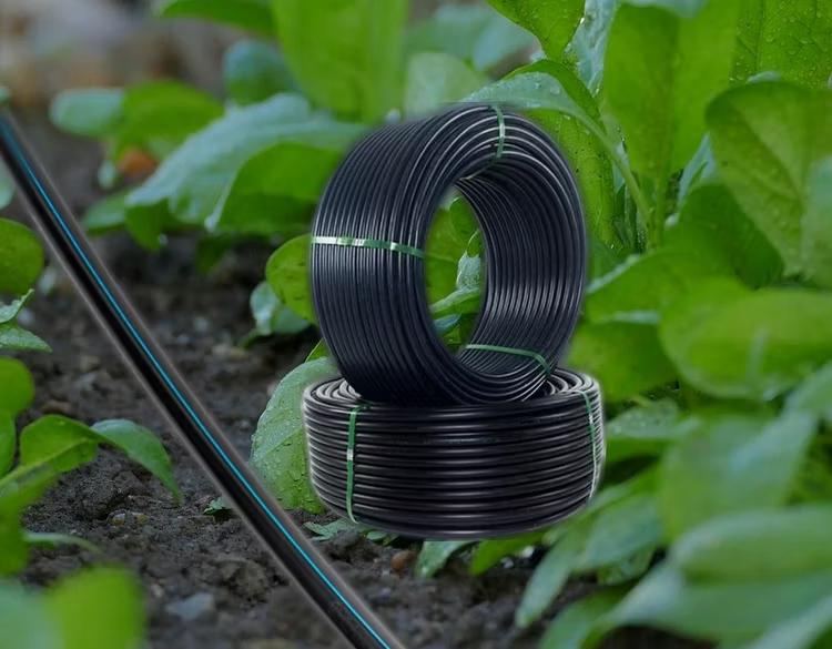 529de46f-ea19-4ee2-99d9-58d769c0fca1