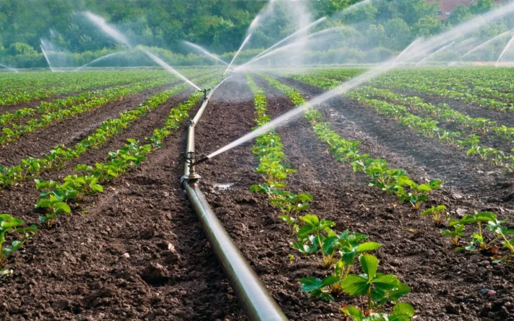 Drip-irrigation-network-supplies-1024×640.jpg