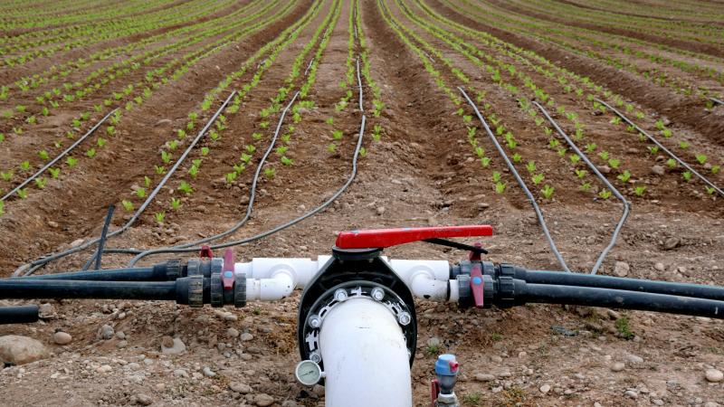 GettyImages-1306163192