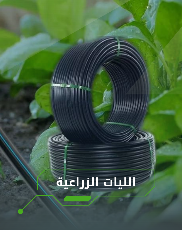 تصميم موقع الكتروني في السعودية , منصة نورالدين