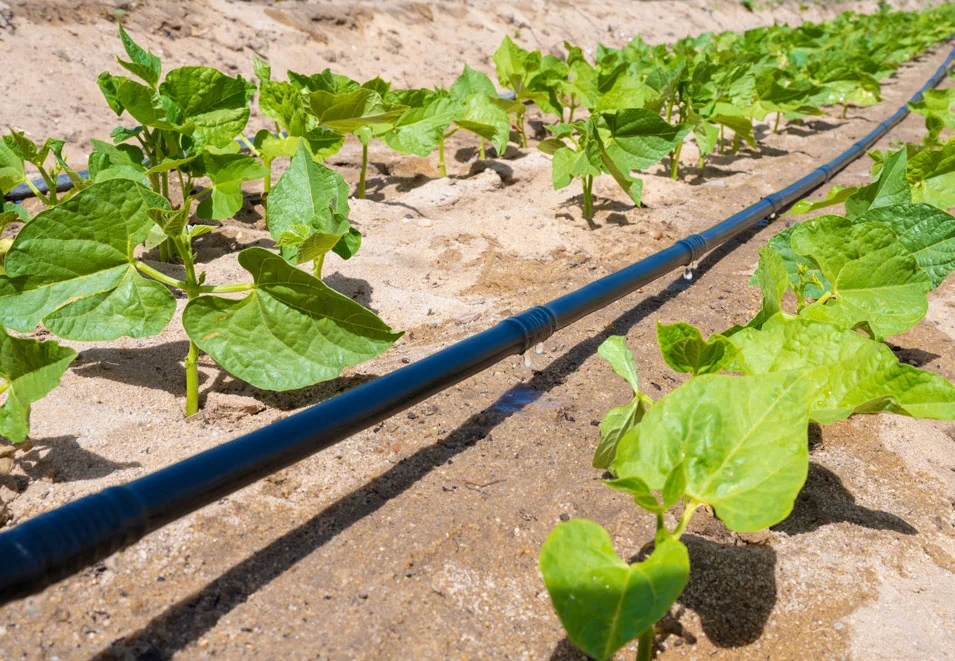 نايل-دريب-خراطيم-ري-بالتنقيط